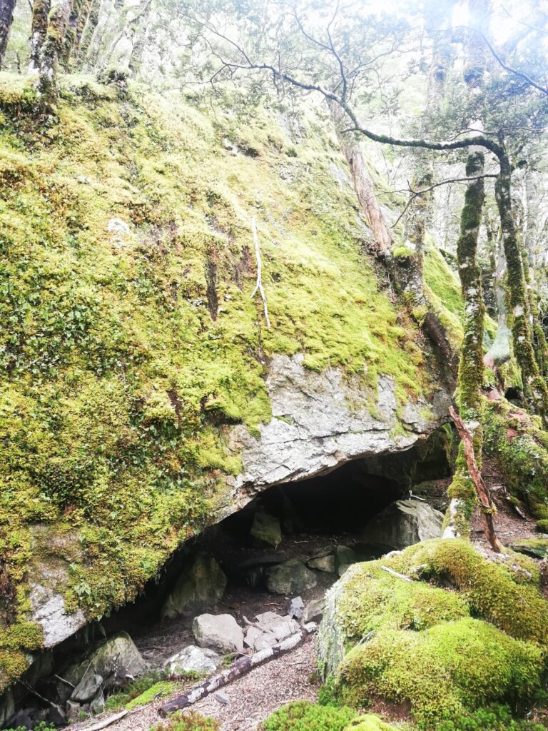 Te Araroa: An Höhlen vorbei
