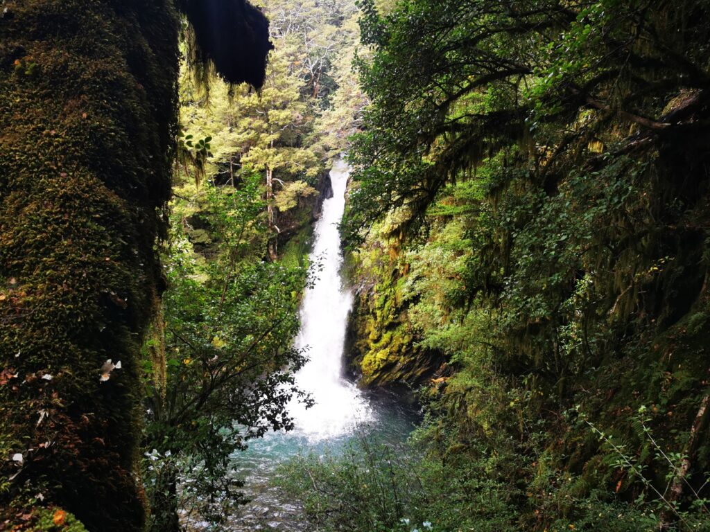 Te Araroa: Wasserfall im Wald
