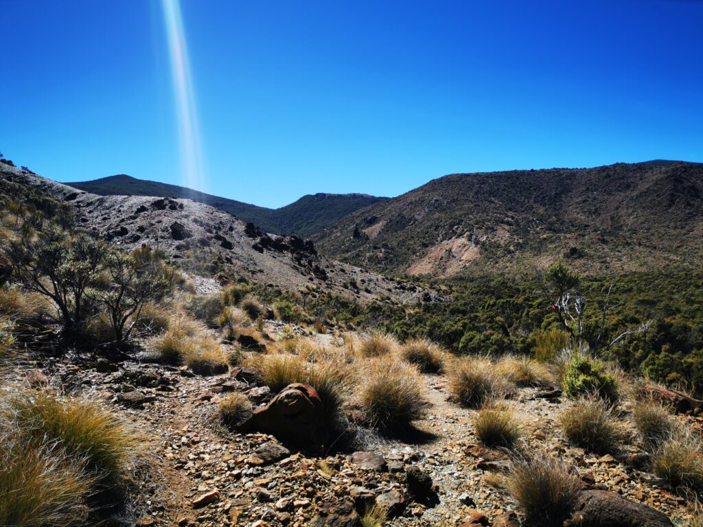 Te Araroa: RIchmond Ranges