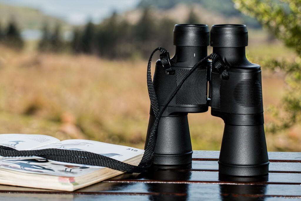 Minox Fernglas Test: Wofür brauchst du ein Fernglas? Wandern? Vogelbeobachtung? Jagd?